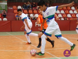 
<a style='margin-left: 5px;' class='btn btn-xs btn-social btn-facebook' href='https://www.facebook.com/sharer/sharer.php?u=https://ko-boladovale.web.getmuller.com.br/imgs/800-800-90/conteudo/fotos/1267/dsc01100.jpg' rel='popup' data-width='500' data-height='400'><i class='fa fa-facebook'></i>Compartilhar <span class='hidden-xs'>no Facebook</span>
</a> 
<a class='btn btn-default btn-xs' target='_blank' href='imgs/800-800-90/conteudo/fotos/1267/dsc01100.jpg'>
<span class='glyphicon glyphicon-cloud-download'></span> Salvar
</a> 
<span></span>