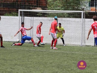 
<a style='margin-left: 5px;' class='btn btn-xs btn-social btn-facebook' href='https://www.facebook.com/sharer/sharer.php?u=https://ko-boladovale.web.getmuller.com.br/imgs/800-800-90/conteudo/fotos/1449/img0454.jpg' rel='popup' data-width='500' data-height='400'><i class='fa fa-facebook'></i>Compartilhar <span class='hidden-xs'>no Facebook</span>
</a> 
<a class='btn btn-default btn-xs' target='_blank' href='imgs/800-800-90/conteudo/fotos/1449/img0454.jpg'>
<span class='glyphicon glyphicon-cloud-download'></span> Salvar
</a> 
<span></span>