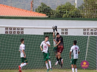 
<a style='margin-left: 5px;' class='btn btn-xs btn-social btn-facebook' href='https://www.facebook.com/sharer/sharer.php?u=https://ko-boladovale.web.getmuller.com.br/imgs/800-800-90/conteudo/fotos/1722/img3219.jpg' rel='popup' data-width='500' data-height='400'><i class='fa fa-facebook'></i>Compartilhar <span class='hidden-xs'>no Facebook</span>
</a> 
<a class='btn btn-default btn-xs' target='_blank' href='imgs/800-800-90/conteudo/fotos/1722/img3219.jpg'>
<span class='glyphicon glyphicon-cloud-download'></span> Salvar
</a> 
<span></span>