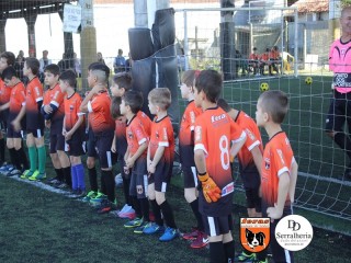 
<a style='margin-left: 5px;' class='btn btn-xs btn-social btn-facebook' href='https://www.facebook.com/sharer/sharer.php?u=https://ko-boladovale.web.getmuller.com.br/imgs/800-800-90/conteudo/fotos/1900/img3615.jpg' rel='popup' data-width='500' data-height='400'><i class='fa fa-facebook'></i>Compartilhar <span class='hidden-xs'>no Facebook</span>
</a> 
<a class='btn btn-default btn-xs' target='_blank' href='imgs/800-800-90/conteudo/fotos/1900/img3615.jpg'>
<span class='glyphicon glyphicon-cloud-download'></span> Salvar
</a> 
<span></span>