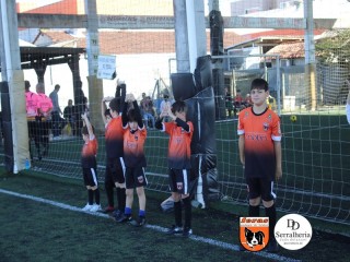 
<a style='margin-left: 5px;' class='btn btn-xs btn-social btn-facebook' href='https://www.facebook.com/sharer/sharer.php?u=https://ko-boladovale.web.getmuller.com.br/imgs/800-800-90/conteudo/fotos/1900/img3620.jpg' rel='popup' data-width='500' data-height='400'><i class='fa fa-facebook'></i>Compartilhar <span class='hidden-xs'>no Facebook</span>
</a> 
<a class='btn btn-default btn-xs' target='_blank' href='imgs/800-800-90/conteudo/fotos/1900/img3620.jpg'>
<span class='glyphicon glyphicon-cloud-download'></span> Salvar
</a> 
<span></span>