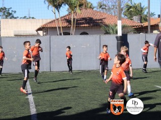 
<a style='margin-left: 5px;' class='btn btn-xs btn-social btn-facebook' href='https://www.facebook.com/sharer/sharer.php?u=https://ko-boladovale.web.getmuller.com.br/imgs/800-800-90/conteudo/fotos/1900/img3645.jpg' rel='popup' data-width='500' data-height='400'><i class='fa fa-facebook'></i>Compartilhar <span class='hidden-xs'>no Facebook</span>
</a> 
<a class='btn btn-default btn-xs' target='_blank' href='imgs/800-800-90/conteudo/fotos/1900/img3645.jpg'>
<span class='glyphicon glyphicon-cloud-download'></span> Salvar
</a> 
<span></span>