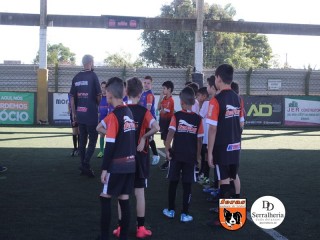 
<a style='margin-left: 5px;' class='btn btn-xs btn-social btn-facebook' href='https://www.facebook.com/sharer/sharer.php?u=https://ko-boladovale.web.getmuller.com.br/imgs/800-800-90/conteudo/fotos/1900/img3666.jpg' rel='popup' data-width='500' data-height='400'><i class='fa fa-facebook'></i>Compartilhar <span class='hidden-xs'>no Facebook</span>
</a> 
<a class='btn btn-default btn-xs' target='_blank' href='imgs/800-800-90/conteudo/fotos/1900/img3666.jpg'>
<span class='glyphicon glyphicon-cloud-download'></span> Salvar
</a> 
<span></span>