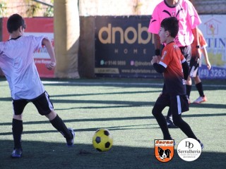 
<a style='margin-left: 5px;' class='btn btn-xs btn-social btn-facebook' href='https://www.facebook.com/sharer/sharer.php?u=https://ko-boladovale.web.getmuller.com.br/imgs/800-800-90/conteudo/fotos/1901/img3735.jpg' rel='popup' data-width='500' data-height='400'><i class='fa fa-facebook'></i>Compartilhar <span class='hidden-xs'>no Facebook</span>
</a> 
<a class='btn btn-default btn-xs' target='_blank' href='imgs/800-800-90/conteudo/fotos/1901/img3735.jpg'>
<span class='glyphicon glyphicon-cloud-download'></span> Salvar
</a> 
<span></span>