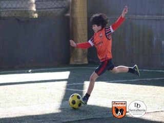 
<a style='margin-left: 5px;' class='btn btn-xs btn-social btn-facebook' href='https://www.facebook.com/sharer/sharer.php?u=https://ko-boladovale.web.getmuller.com.br/imgs/800-800-90/conteudo/fotos/1901/img3741.jpg' rel='popup' data-width='500' data-height='400'><i class='fa fa-facebook'></i>Compartilhar <span class='hidden-xs'>no Facebook</span>
</a> 
<a class='btn btn-default btn-xs' target='_blank' href='imgs/800-800-90/conteudo/fotos/1901/img3741.jpg'>
<span class='glyphicon glyphicon-cloud-download'></span> Salvar
</a> 
<span></span>