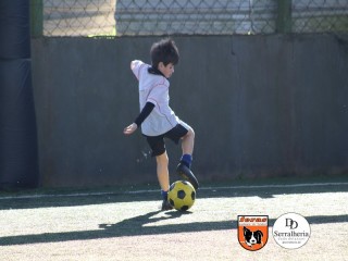 
<a style='margin-left: 5px;' class='btn btn-xs btn-social btn-facebook' href='https://www.facebook.com/sharer/sharer.php?u=https://ko-boladovale.web.getmuller.com.br/imgs/800-800-90/conteudo/fotos/1901/img3767.jpg' rel='popup' data-width='500' data-height='400'><i class='fa fa-facebook'></i>Compartilhar <span class='hidden-xs'>no Facebook</span>
</a> 
<a class='btn btn-default btn-xs' target='_blank' href='imgs/800-800-90/conteudo/fotos/1901/img3767.jpg'>
<span class='glyphicon glyphicon-cloud-download'></span> Salvar
</a> 
<span></span>