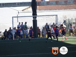 
<a style='margin-left: 5px;' class='btn btn-xs btn-social btn-facebook' href='https://www.facebook.com/sharer/sharer.php?u=https://ko-boladovale.web.getmuller.com.br/imgs/800-800-90/conteudo/fotos/1901/img3778.jpg' rel='popup' data-width='500' data-height='400'><i class='fa fa-facebook'></i>Compartilhar <span class='hidden-xs'>no Facebook</span>
</a> 
<a class='btn btn-default btn-xs' target='_blank' href='imgs/800-800-90/conteudo/fotos/1901/img3778.jpg'>
<span class='glyphicon glyphicon-cloud-download'></span> Salvar
</a> 
<span></span>