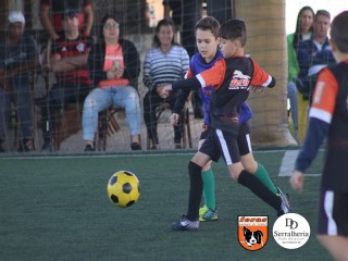 
<a style='margin-left: 5px;' class='btn btn-xs btn-social btn-facebook' href='https://www.facebook.com/sharer/sharer.php?u=https://ko-boladovale.web.getmuller.com.br/imgs/800-800-90/conteudo/fotos/1901/img3798.jpg' rel='popup' data-width='500' data-height='400'><i class='fa fa-facebook'></i>Compartilhar <span class='hidden-xs'>no Facebook</span>
</a> 
<a class='btn btn-default btn-xs' target='_blank' href='imgs/800-800-90/conteudo/fotos/1901/img3798.jpg'>
<span class='glyphicon glyphicon-cloud-download'></span> Salvar
</a> 
<span></span>