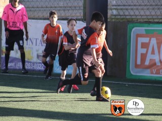 
<a style='margin-left: 5px;' class='btn btn-xs btn-social btn-facebook' href='https://www.facebook.com/sharer/sharer.php?u=https://ko-boladovale.web.getmuller.com.br/imgs/800-800-90/conteudo/fotos/1901/img3999.jpg' rel='popup' data-width='500' data-height='400'><i class='fa fa-facebook'></i>Compartilhar <span class='hidden-xs'>no Facebook</span>
</a> 
<a class='btn btn-default btn-xs' target='_blank' href='imgs/800-800-90/conteudo/fotos/1901/img3999.jpg'>
<span class='glyphicon glyphicon-cloud-download'></span> Salvar
</a> 
<span></span>