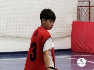 
<a style='margin-left: 5px;' class='btn btn-xs btn-social btn-facebook' href='https://www.facebook.com/sharer/sharer.php?u=https://ko-boladovale.web.getmuller.com.br/imgs/800-800-90/conteudo/fotos/1931/img1953.jpg' rel='popup' data-width='500' data-height='400'><i class='fa fa-facebook'></i>Compartilhar <span class='hidden-xs'>no Facebook</span>
</a> 
<a class='btn btn-default btn-xs' target='_blank' href='imgs/800-800-90/conteudo/fotos/1931/img1953.jpg'>
<span class='glyphicon glyphicon-cloud-download'></span> Salvar
</a> 
<span></span>