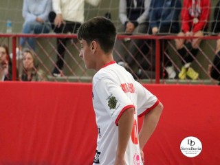 
<a style='margin-left: 5px;' class='btn btn-xs btn-social btn-facebook' href='https://www.facebook.com/sharer/sharer.php?u=https://ko-boladovale.web.getmuller.com.br/imgs/800-800-90/conteudo/fotos/1931/img1982.jpg' rel='popup' data-width='500' data-height='400'><i class='fa fa-facebook'></i>Compartilhar <span class='hidden-xs'>no Facebook</span>
</a> 
<a class='btn btn-default btn-xs' target='_blank' href='imgs/800-800-90/conteudo/fotos/1931/img1982.jpg'>
<span class='glyphicon glyphicon-cloud-download'></span> Salvar
</a> 
<span></span>