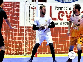 
<a style='margin-left: 5px;' class='btn btn-xs btn-social btn-facebook' href='https://www.facebook.com/sharer/sharer.php?u=https://ko-boladovale.web.getmuller.com.br/imgs/800-800-90/conteudo/fotos/2003/img8462.jpg' rel='popup' data-width='500' data-height='400'><i class='fa fa-facebook'></i>Compartilhar <span class='hidden-xs'>no Facebook</span>
</a> 
<a class='btn btn-default btn-xs' target='_blank' href='imgs/800-800-90/conteudo/fotos/2003/img8462.jpg'>
<span class='glyphicon glyphicon-cloud-download'></span> Salvar
</a> 
<span></span>