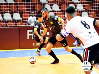 
<a style='margin-left: 5px;' class='btn btn-xs btn-social btn-facebook' href='https://www.facebook.com/sharer/sharer.php?u=https://ko-boladovale.web.getmuller.com.br/imgs/800-800-90/conteudo/fotos/2025/img4039.jpg' rel='popup' data-width='500' data-height='400'><i class='fa fa-facebook'></i>Compartilhar <span class='hidden-xs'>no Facebook</span>
</a> 
<a class='btn btn-default btn-xs' target='_blank' href='imgs/800-800-90/conteudo/fotos/2025/img4039.jpg'>
<span class='glyphicon glyphicon-cloud-download'></span> Salvar
</a> 
<span></span>